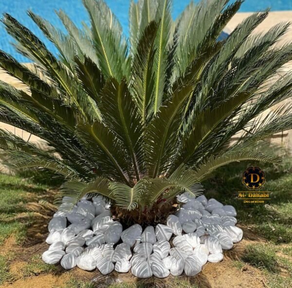⁦زلط ابيض كرارة⁩ - الصورة ⁦3⁩